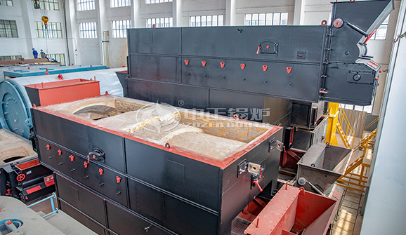 貴州荔波縣4噸DZL系列燃生物質水火管蒸汽鍋爐項目